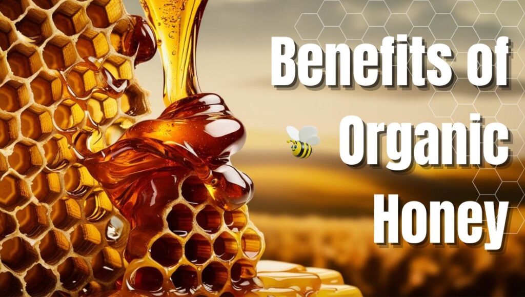 Benefits Of Organic Honey