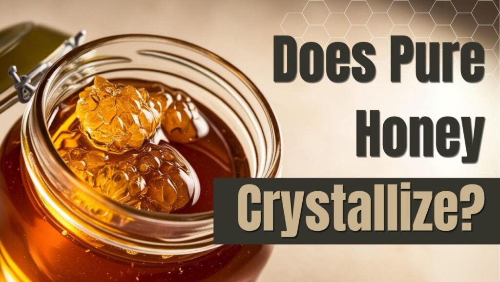 Does Pure Honey Crystallize?