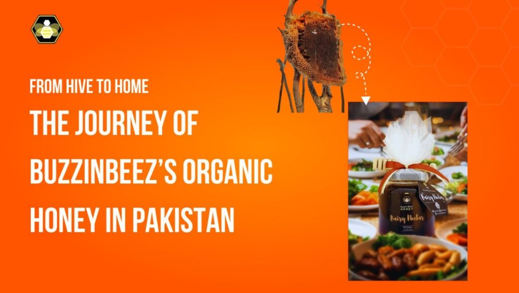 From Hive to Home: The Journey of BuzzinBeez’s Organic Honey in Pakistan
