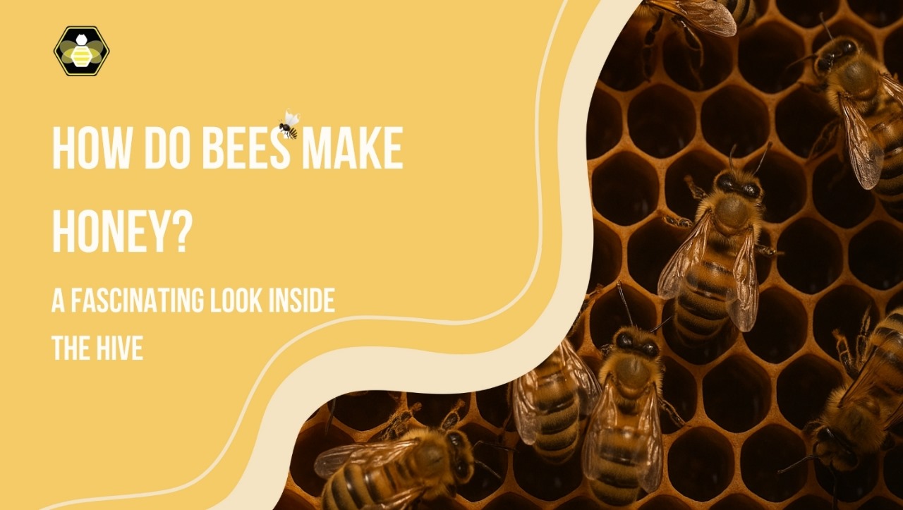 Honeybees working inside a hive, showcasing hexagonal honeycomb cells, with a title overlay asking "How Do Bees Make Honey?"