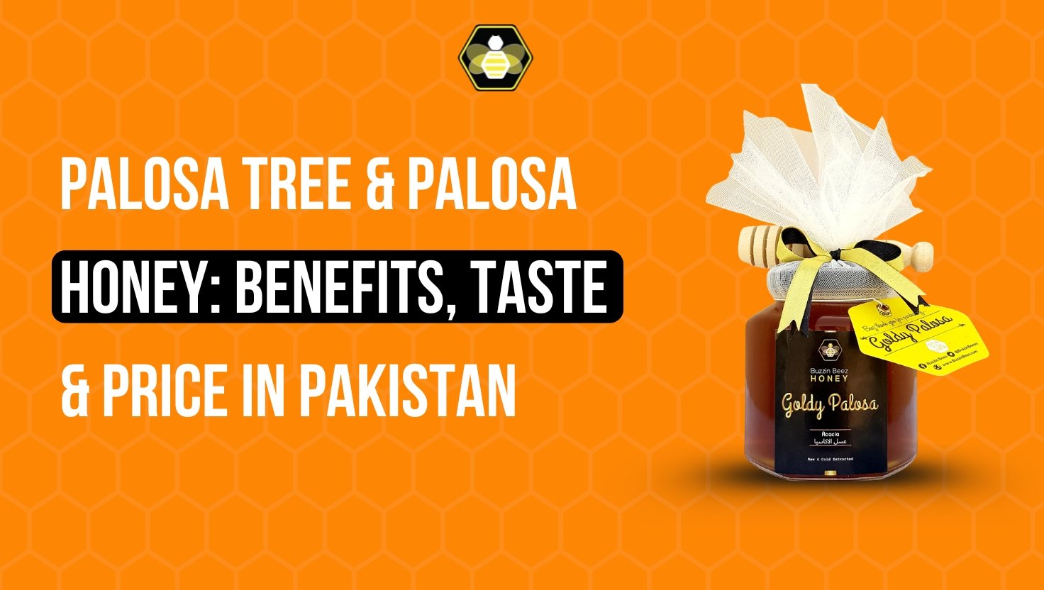 Palosa Tree & Palosa Honey: Benefits, Taste & Price in Pakistan