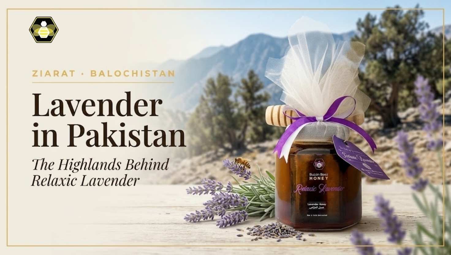 Lavender in Pakistan: The Balochistan Highlands Behind Relaxic Lavender