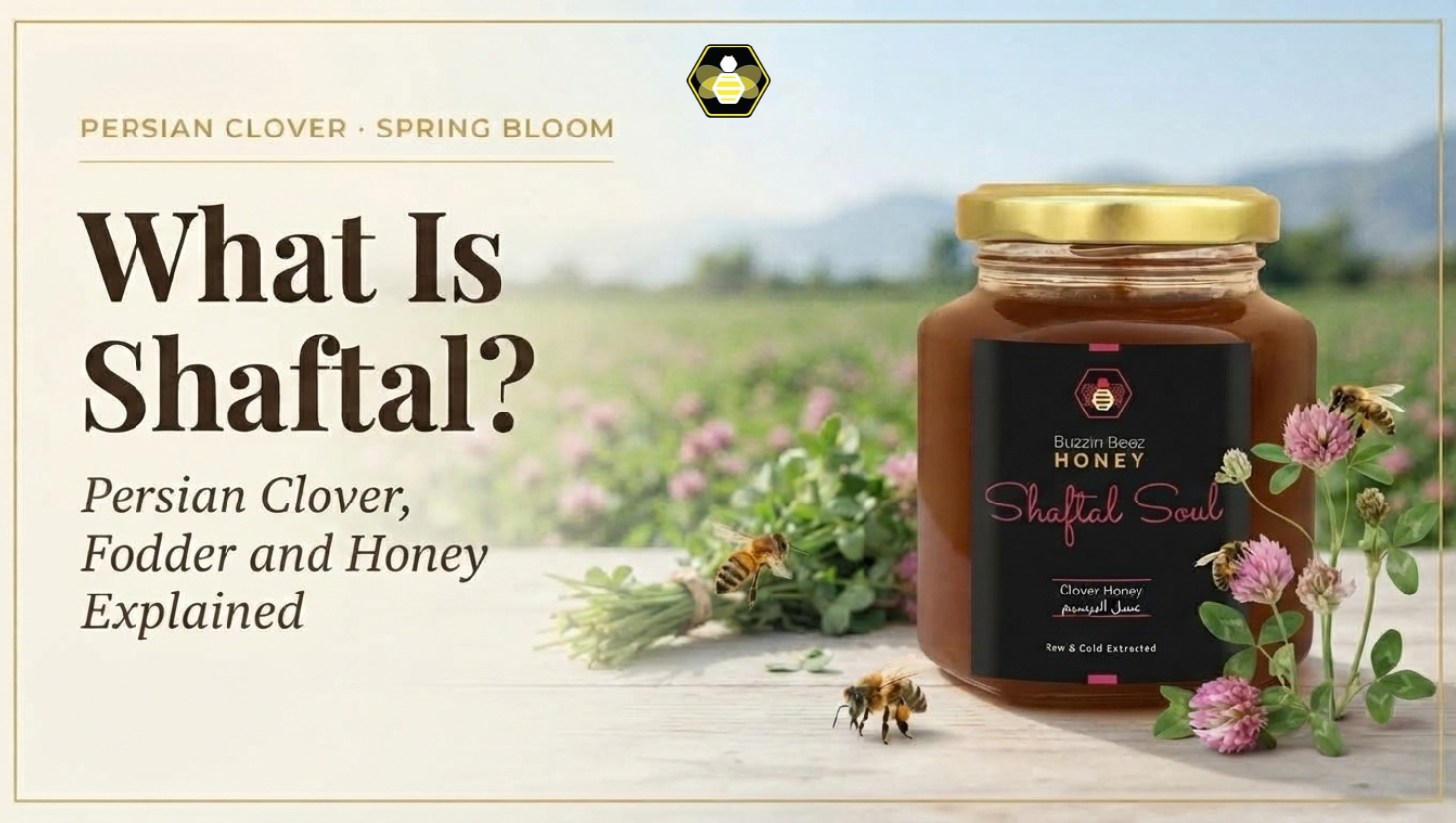 What Is Shaftal? Persian Clover, Fodder and Honey Explained.
