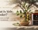What is Sidr Power - Beri Leaves vs Sidr Honey Explained