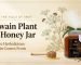 Ajwain Plant to Honey Jar