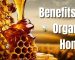 Benefits Of Organic Honey