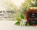 What Is Malta Honey? Pakistan's Orange Blossom Explained.