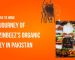 From Hive to Home: The Journey of BuzzinBeez’s Organic Honey in Pakistan
