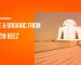 A white marble mausoleum, the Mazar-e-Quaid, under an orange-tinted sky, with text promoting 'Buy Honey in Karachi - Pure & Organic from Buzzinbeez